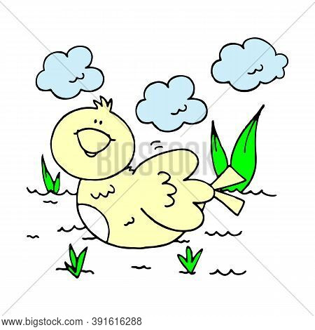 Vector - A Young Duck Sitting On Background, Illustration Vector Design, Funny Duck Easy To Edit