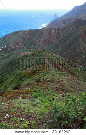 Svěží Les v Macizo De Anaga, Tenerife, Španělsko.