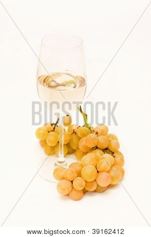 화이트 와인, 포도