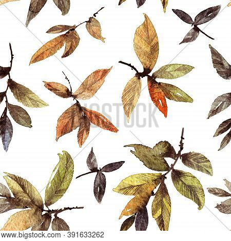 Watercolor And Ink Illustration Of Tree Leaves In Style Sumi-e, U-sin. Oriental Traditional Painting