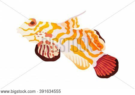 Decorative Sea Or Aquarium Fish On White Background. Freshwater Or Saldwater Aquarium Cartoon Fish. 