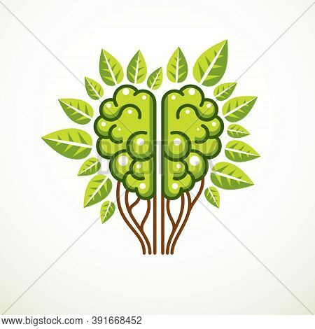 Tree Brain Concept, The Wisdom Of Nature, Intelligent Evolution. Human Anatomical Brain In A Shape O
