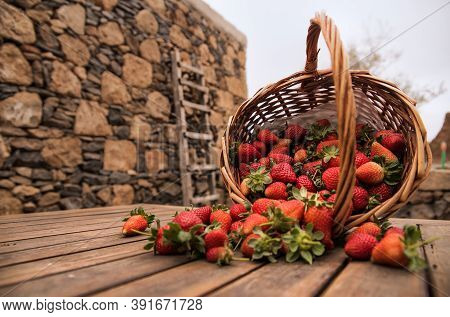 Basket Of Wild Strawberries On A Wooden Table In A Rural Enviroment