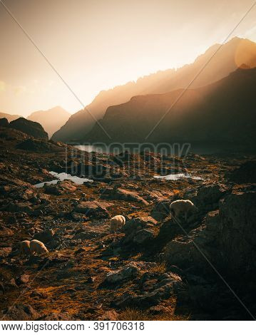 Morning Scenery In Austrian Alps - Klafferkessel Schladminger Tauern