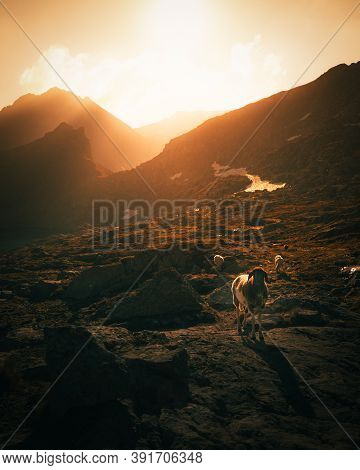 Morning Scenery In Austrian Alps - Klafferkessel Schladminger Tauern