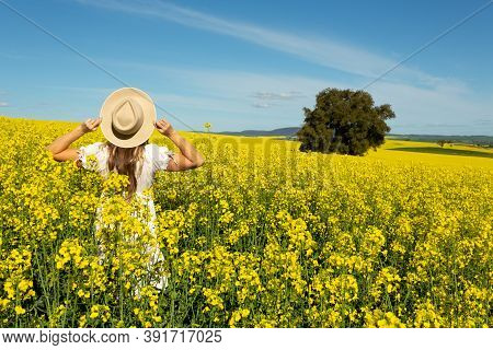 Woman In White Dress In Field Of Golden Canola Flowering In Spring In The Rural Fields Of Australia
