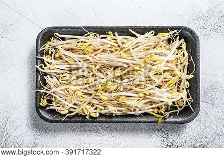 Bean Sprout In Black Plastic Container. White Background. Top View