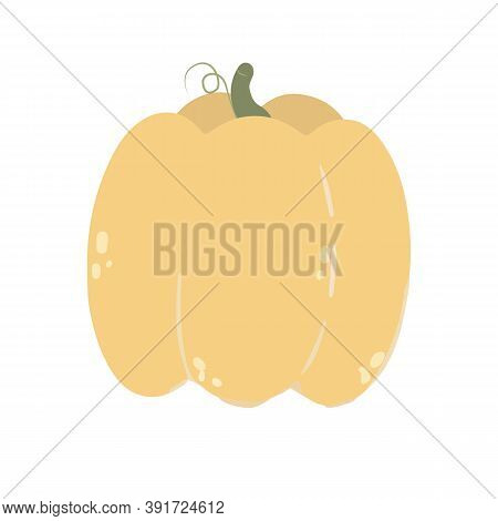 Pumpkin In Cartoon Style. Vector Image. Isolated On White Background
