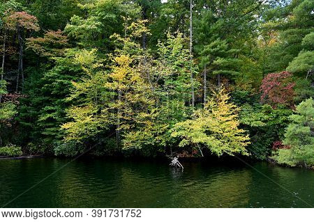 Autumn Landscape Reflections On Lake Santeetlah, North Carolina.