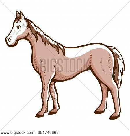 Horse Hand Drawn Icon. Racehorse, Courser Chestnut, Sorrel Or Bay Color. Domestic, Farm Animal.