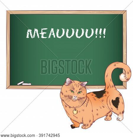 Munchkin Cat Breed Looking Down. Vector Illustration With A Cat Near The Chalk Board. Hand Drawn Sty