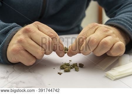 Close Up Of Caucasian Man's Hands Dismembering Marijuana To Make A Cigar