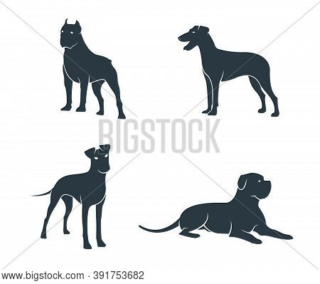 Vector Dog Collection For Logo Or Icon Design