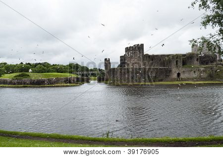 Caerphilly Castle mit VÃ¶geln