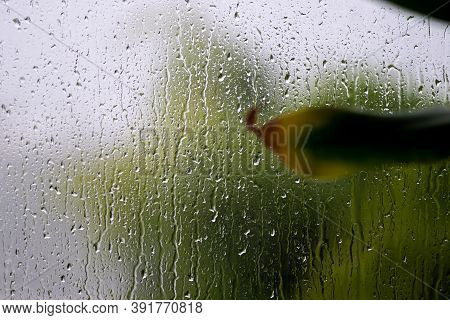 Rain On Window Pain On A Wet And Gloomy Day
