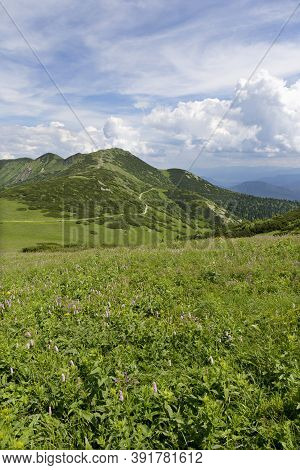 Slovak Mountain Little Fatra, Mala Fatra, In The Summer, Slovakia