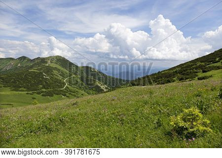Slovak Mountain Little Fatra, Mala Fatra, In The Summer, Slovakia