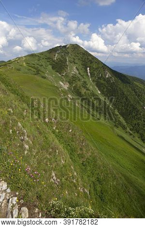 Slovak Mountain Little Fatra, Mala Fatra, In The Summer, Slovakia