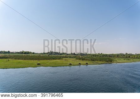 Beautiful Natural Scenery Sailing On The Nile River Cruise From Luxor To Aswer, Egypt