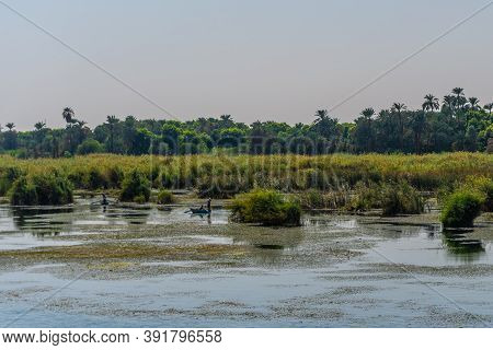 Beautiful Natural Scenery Sailing On The Nile River Cruise From Luxor To Aswer, Egypt