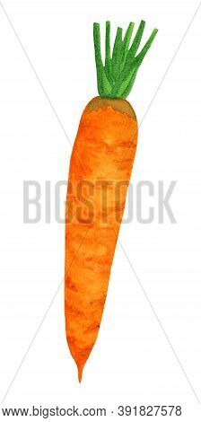 Watercolor Nice Carrot With Halm Isolated On White Background. Side View Vegetable Illustration. Org
