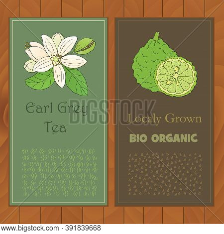 Organic Tea Collection. Vector Flyers With Hand Drawn Illustration Of Citrus Bergamia On A Wooden Ba