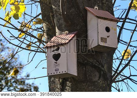 Two Beautiful Gray Old Wooden Bird Houses On Linden Tree With Yellow And Green Autumn Leaves Against