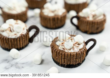 Mini Chocolate Cheesecake Decorated With Whipped Cream And Marshmallow Like A Hot Cocoa Drink