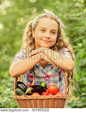 I Got It. Harvest Vitamin. Spring Market Garden. Happy Little Farmer. Autumn Harvest. Kid On Summer 