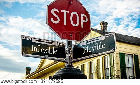 Street Sign The Direction Way To Flexible Versus Inflexible