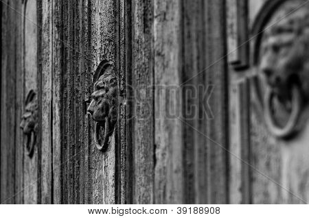 ประตู Lionhead Knocker