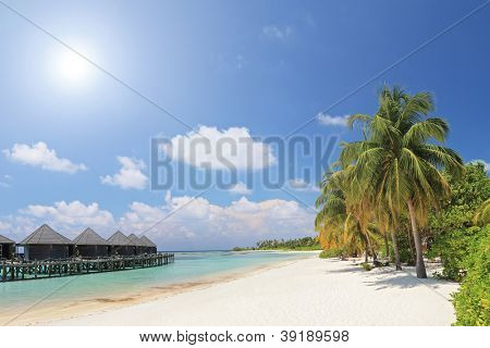 Szene Sandstrand mit Palmen und Villa Häuschen am Kuredu Island, Malediven, Lhaviyani atoll