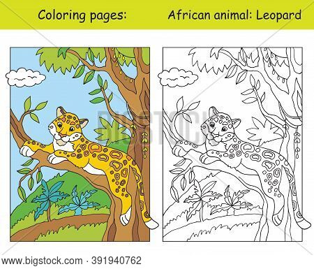 Vector Coloring Pages With Cute Leopard In African Area. Cartoon Isolated Colorful Illustration. Col