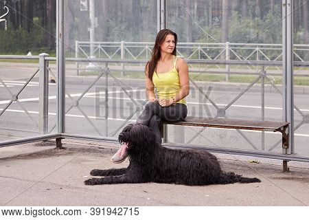 Female Owner With Black Briard Wait For Bus.