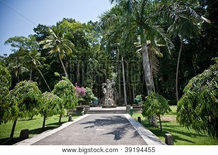 Monkey forest in Bali island (Sangeh)