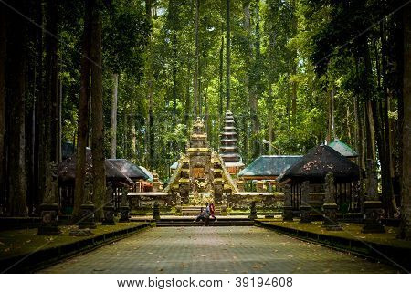 Monkey forest in Bali island (Sangeh)