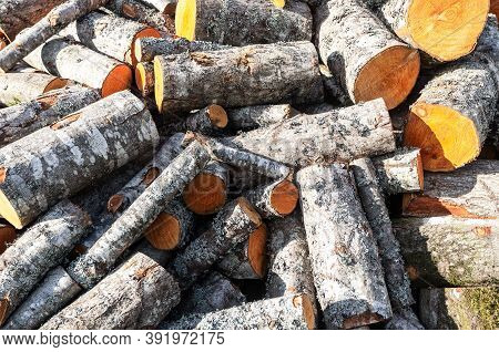Stock Pile Of Timber, Chopped Down Trees. Chopped And Stacked Up Firewood