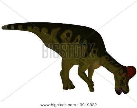 Corythosaurus-3D dinosauro