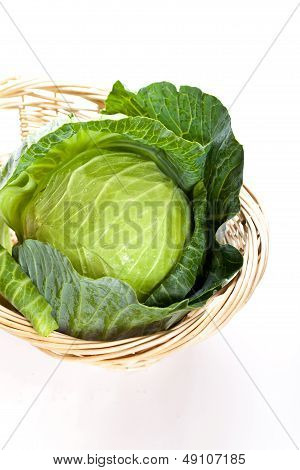 Cabbage