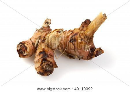 Rhizome of Galangal