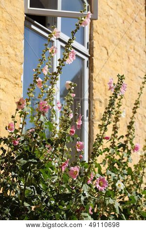 Summer Window