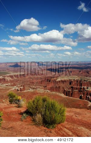 Vista de Canyonlands