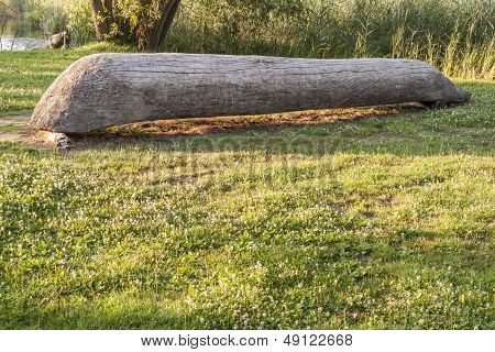 Canoa in legno vecchio nel Museo di Biskupin - Polonia.