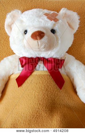 Teddy malato