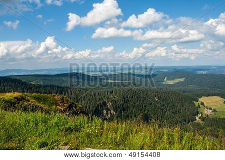 Landscape In Feldberg Germany Black Forest.