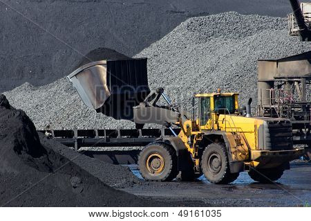 Shovel Coal