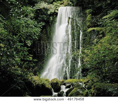 Cascade waterfall i regnskoven