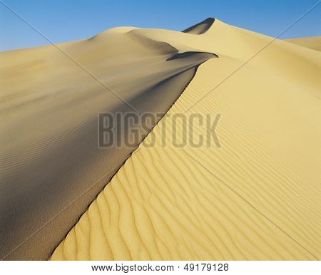 Crest af sand dune