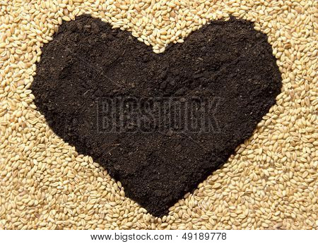 Wheat Grains And Earth