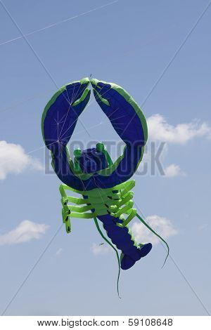 Blue And Green Lobster Kite Flys High